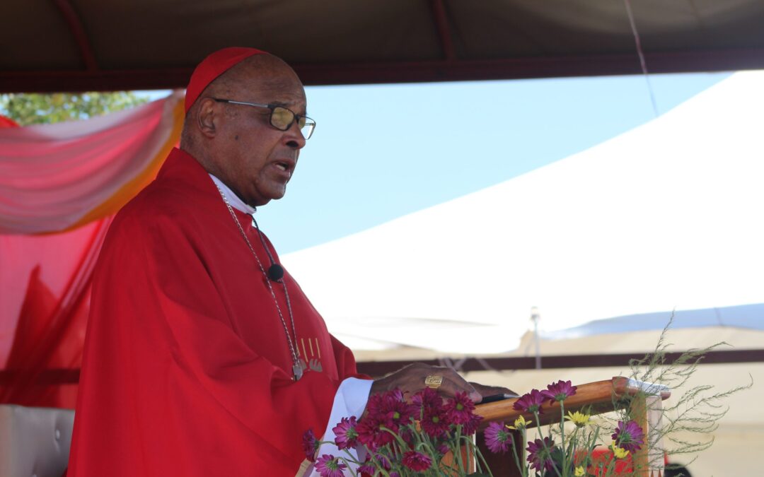 Cardinal Napier OFM Urges Faithful to Remain Steadfast in Following Christ as Holy Week Begins