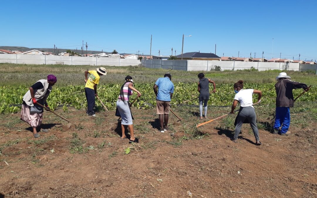 Grateful for Lenten Contributions